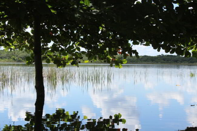 Have a calm adventure walking around the lake located next to Coba while visiting the Mayan Ruins in the Full Day Coba Ruins and Jungle ATV Tour