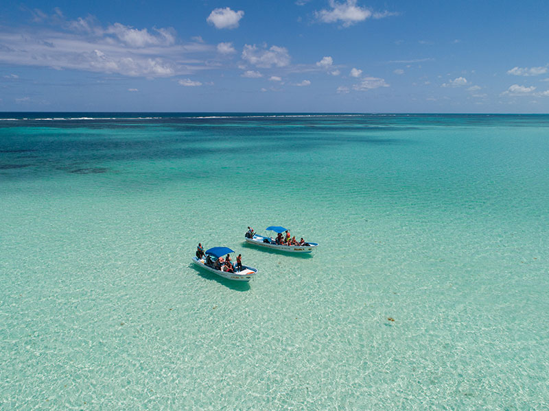 Embark on a captivating adventure through Sian Kaan by boat at our Sian Kaan Full Adventure trip, a mesmerising biosphere reserve. Witness stunning aquatic animals, such as: Dolphins, sea turtles, and manatees. To end the excursion, we will have a delicious buffet.