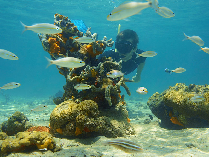 Have a Sian Kaan Full Adventure, jump in crystalline waters, and enjoy the moment of pure tranquility while snorkelling through coral reefs and colourful fish