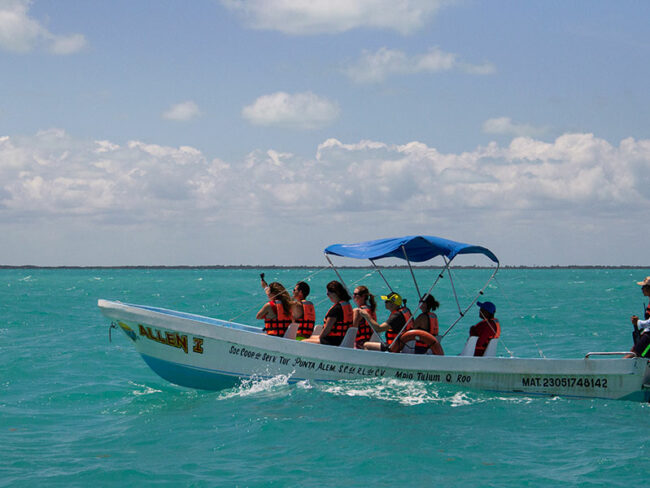 Give yourself a gift and become a traveler! Discover the wonders of the Caribbean sea in Sian Kaan Full Adventure excursion. Enjoy the view of the turquoise sea with dolphins, manatees, and turtles roaming around their natural habitat.