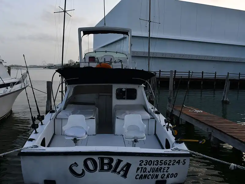 Get ready for the best fishing day out! listen to your own favourite music and enjoy having a drink while fishing with your family and friends at the Cobia Fishing Yacht Six Guests