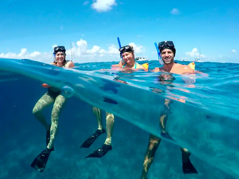Snorkel in crystal clear waters and discover one of the best snorkelling spots at the Private Sail Cat 30 Guests Full Day tour to Isla Mujeres