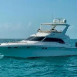 Luxurious Private Yacht for 20 People / this yacht includes a spacious area at the front and a shaded area at the back part of the yacht